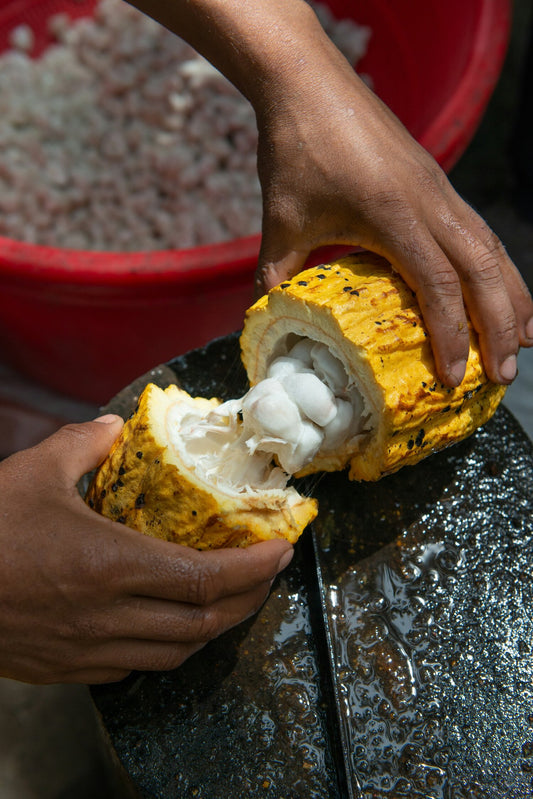 cacao ceremonial beans